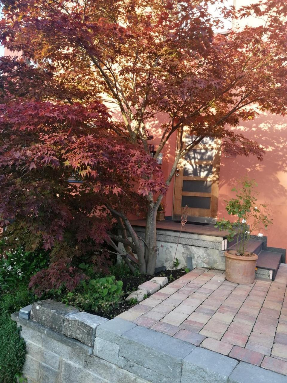 Haus Meersburg See 外观 照片